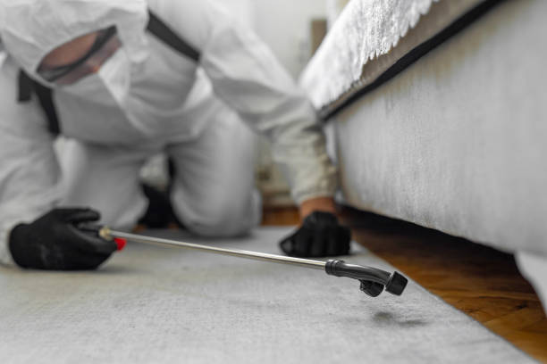 Professional Bed Bug Control technician working in Maryland City, MD
