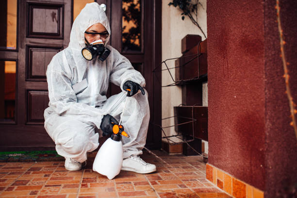 Reliable Bed Bug Control contractor in Maryland City, MD by Nex Pest Control