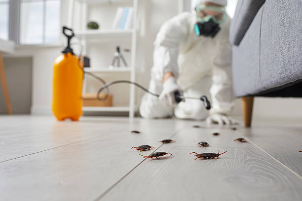 Trusted Emergency Pest Control service in Maryland City, MD - Nex Pest Control