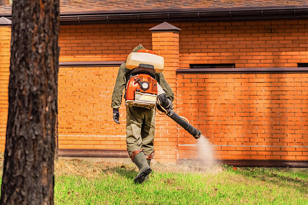 Trusted Termite Control service in Maryland City, MD - Nex Pest Control